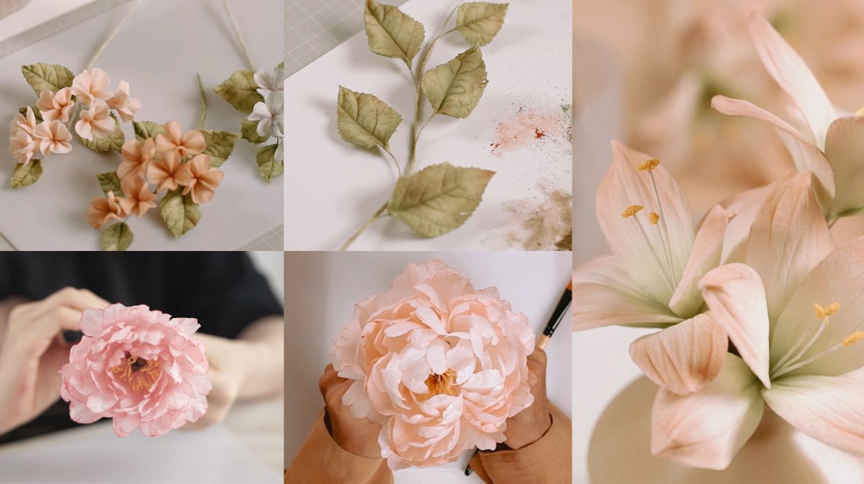 blog